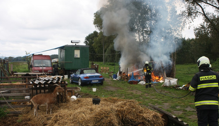 Zvířata sledovala, jak kousek od nich řádí plameny