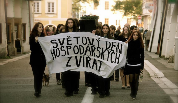 Smuteční pochod za hospodářská zvířata.