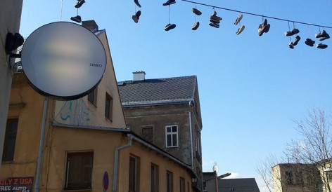 Papírák. Foto: Miroslav Holub