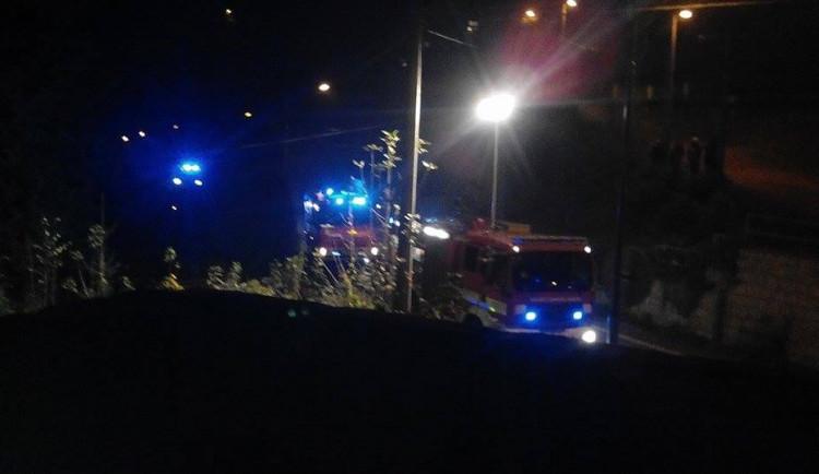 10743402_10202717812656853_174145450_n