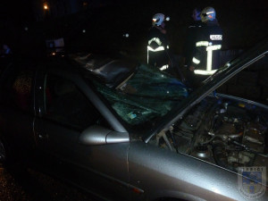 Tvrdý náraz v Oldřichově. Řidička večer usmrtila koně. Foto: Hasiči Hrádek nad Nisou