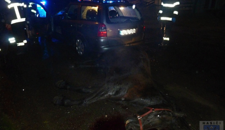 Tvrdý náraz v Oldřichově. Řidička večer usmrtila koně. Foto: Hasiči Hrádek nad Nisou