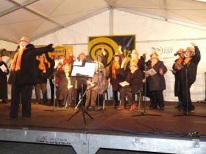 Tulipan a jeho týden.