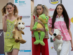 Foto: Jaroslav Appeltauer