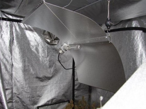 Muž si doma pěstoval více než stovku rostlin konopí. Foto: Policie ČR