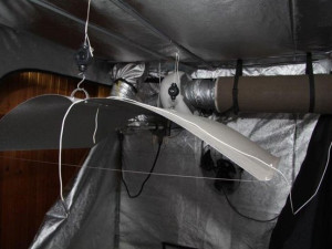 Muž si doma pěstoval více než stovku rostlin konopí. Foto: Policie ČR