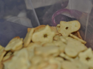 Klára peče 53 kilo cukroví. Foto archiv K. Zitové