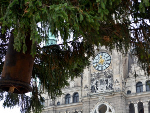 Vánoční strom už stojí před radnicí. Letos měří 14 metrů, Foto: MML/Jan Král