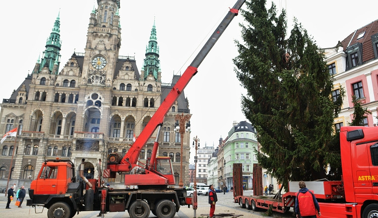 Vánoční strom už stojí před radnicí. Letos měří 14 metrů, Foto: MML/Jan Král