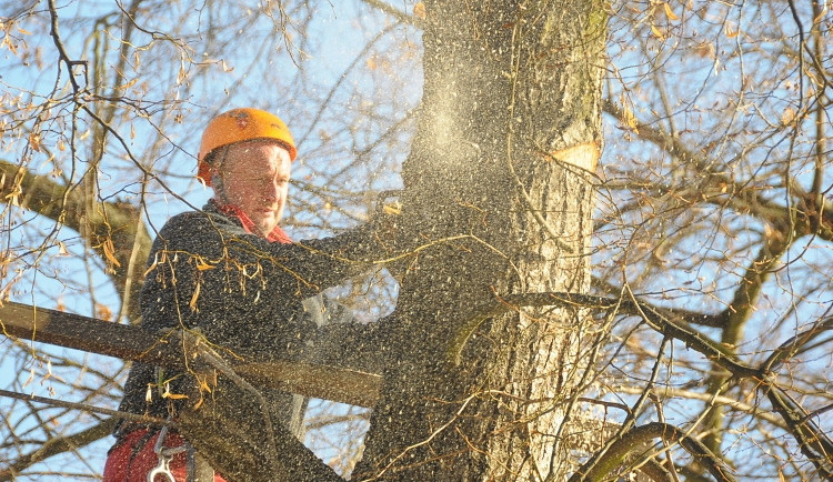 Ilustrační foto: MML