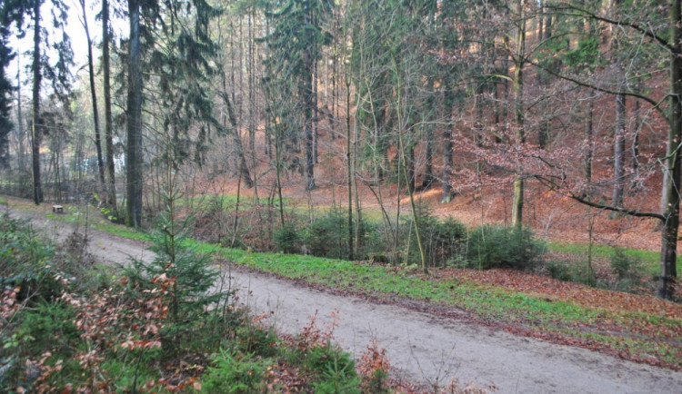 Tichá cesta. Prostranství za potokem možná projde proměnou.