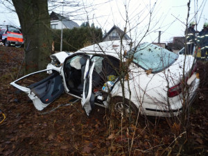 Ze zdemolovaného Seatu museli hasiči vystříhávat řidiče. Foto: HZSLK