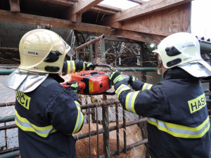 Kráva uvízla mezi trubkami, hasiči je rozřezali. Foto: HZSLK