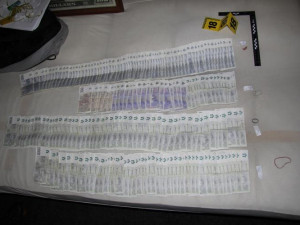 Tohle našla policie u dealera. Foto: Policie ČR