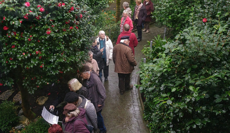Na Štědrý den nezaplatíte za návštěvu botanické zahrady ani korunu