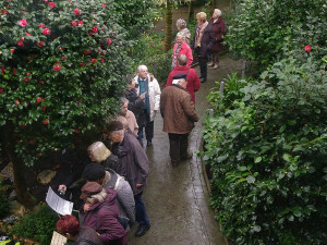 Na Štědrý den nezaplatíte za návštěvu botanické zahrady ani korunu