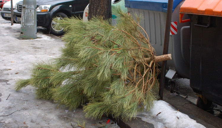 Ilustrační foto: ekolist.cz