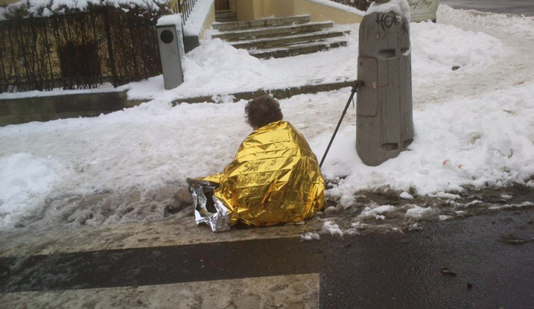Zraněná stařenka. Foto: MP Liberec