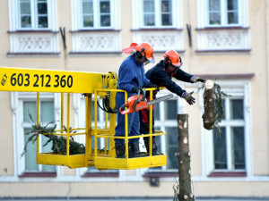 A je po Vánocích. Na náměstí pokáceli strom