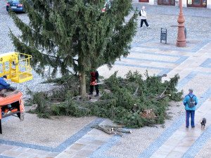 A je po Vánocích. Na náměstí pokáceli strom. Foto: Jan Král
