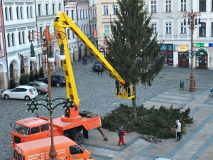A je po Vánocích. Na náměstí pokáceli strom. Foto: Jan Král