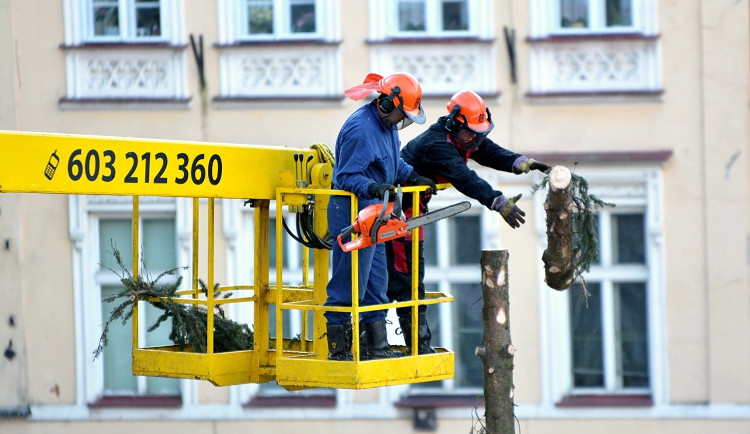 A je po Vánocích. Na náměstí pokáceli strom. Foto: Jan Král
