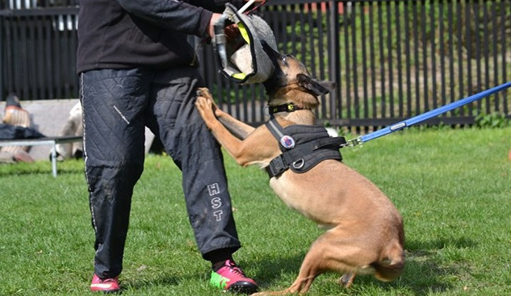 Cama. Foto: Hana Böhme