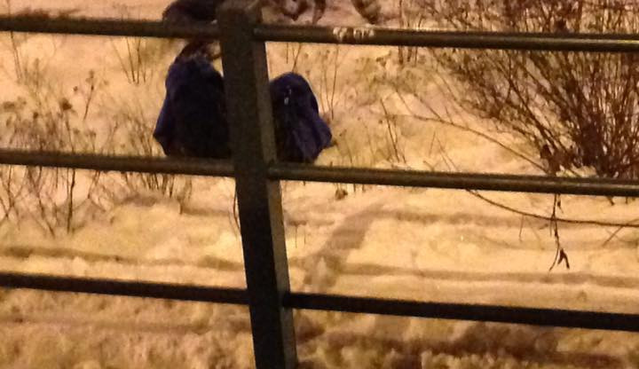 Opilý muž krátce po napadení řidiče. Foto: čtenář Liberecké Drbny