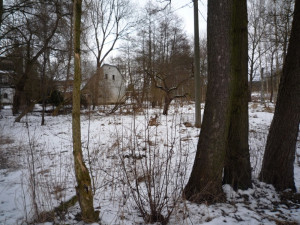 Pletivo polapilo srnku, vyprostit ji museli až hasiči. Foto: HZSLK