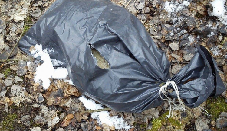 Fotografie z místa nálezu. Foto: Facebook