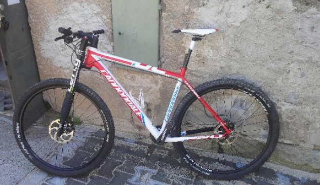 Nesetkal se někdo z vás s tímto kolem?