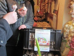 RV_hradecky_bela_cesnek_(17)_medium