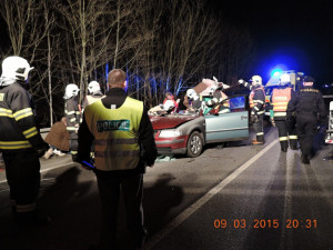 Spolujezdce museli z auta po střetu s krávou vystříhat hasiči. Foto: HZSLK