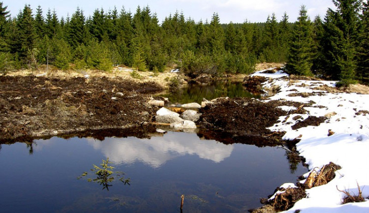 Černý potok. Foto: Lesy ČR