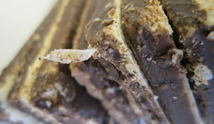 Oplatka liberecké společnosti Mocca obsahovala malé škůdce. Foto: SZPI