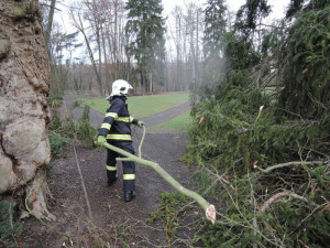 V Turnově spadl strom rovnou na přechod. Foto: HZSLK