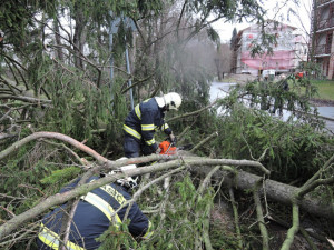 V Turnově spadl strom rovnou na přechod. Foto: HZSLK