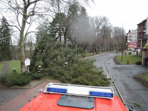 V Turnově spadl strom rovnou na přechod. Foto: HZSLK