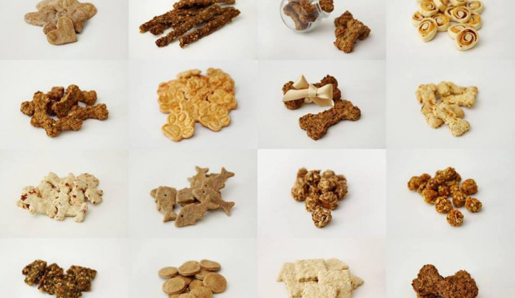 Rozhodně máte z čeho vybírat