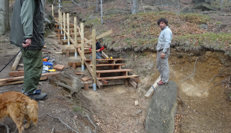 Výstup z Oldřichovského sedla směrem na Lysé skály