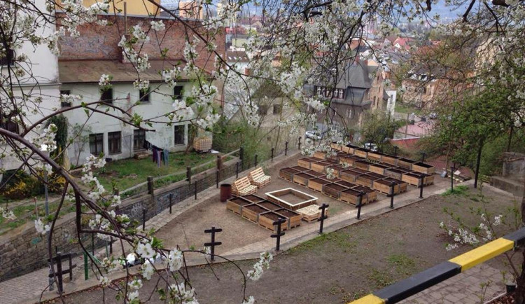 Lazebnický vrch se změnil k nepoznání. Foto: Facebook