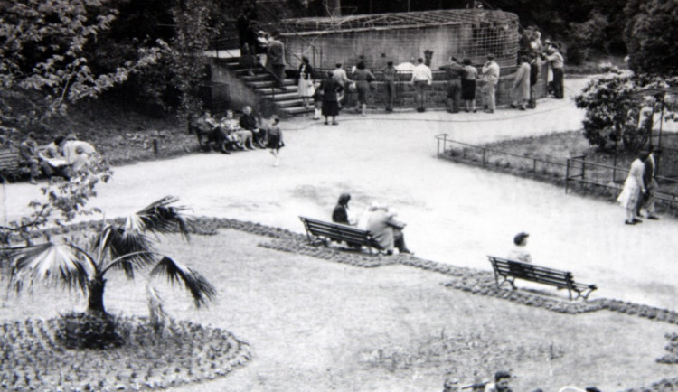 Expozice ledních medvědů v zoo Liberec 1958