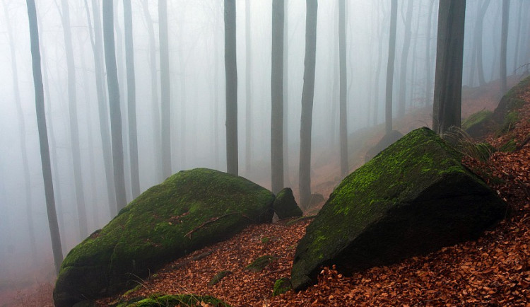 Ilustrační foto: Fotoaparat.cz/Jiří Zuzánek