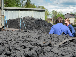 Fabrika Ferex. Foto: Jan Vrabec