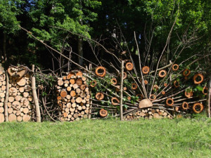 Piknikové paloučky nebo domečky na stromech. V Liberci vzniká unikátní park