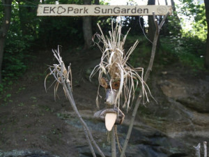 Piknikové paloučky nebo domečky na stromech. V Liberci vzniká unikátní park