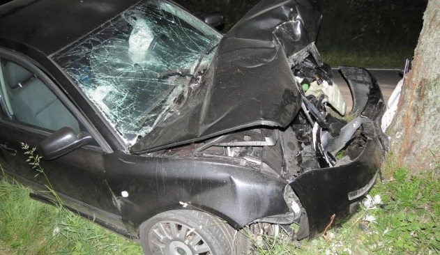 Na stejném úseku havarovali dva řidiči, každý do jiného stromu. Foto: Policie ČR