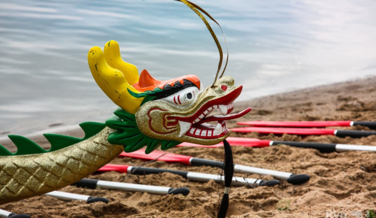 Ilustrační foto. ZOO Liberec