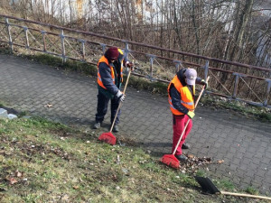 Liberec chce do údržby zeleně zapojit i obyvatele města