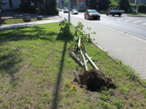 Neopatrné řidičce ujelo auto, zastavil ho až strom